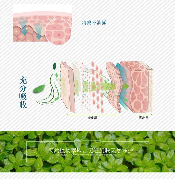 面膜08.jpg